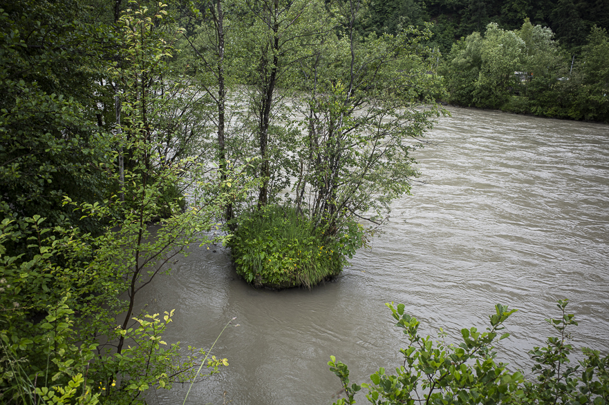 Insel im Hochwasser der Salzach